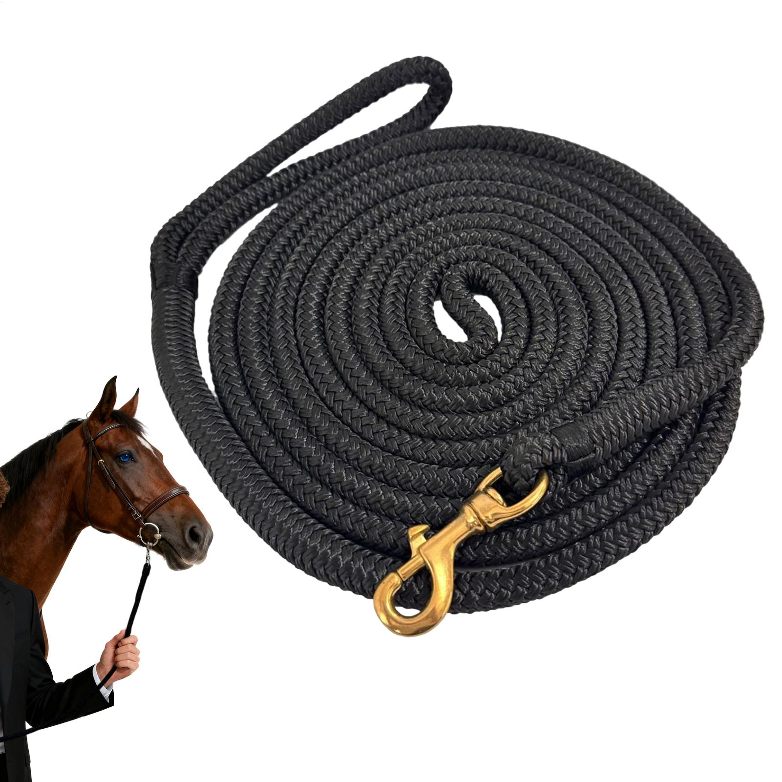 Lunge Line Horse - Horse Lunge Line Performance Horse Line