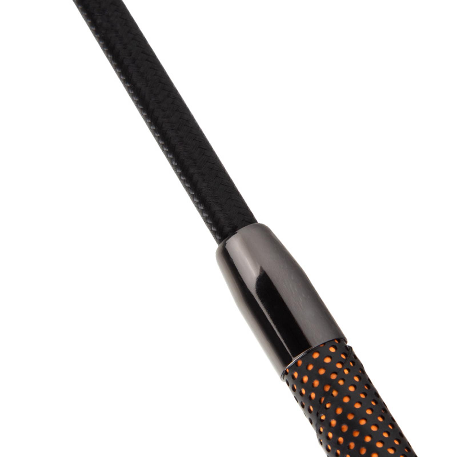 Equestrianism Whip for Horse R - đánh giá và giá Riding Crop Dressage