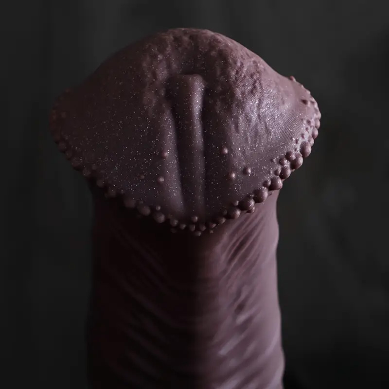 Huge Horse Dildo Anal Plug Sex - đánh giá và giá Lunge Line Horse