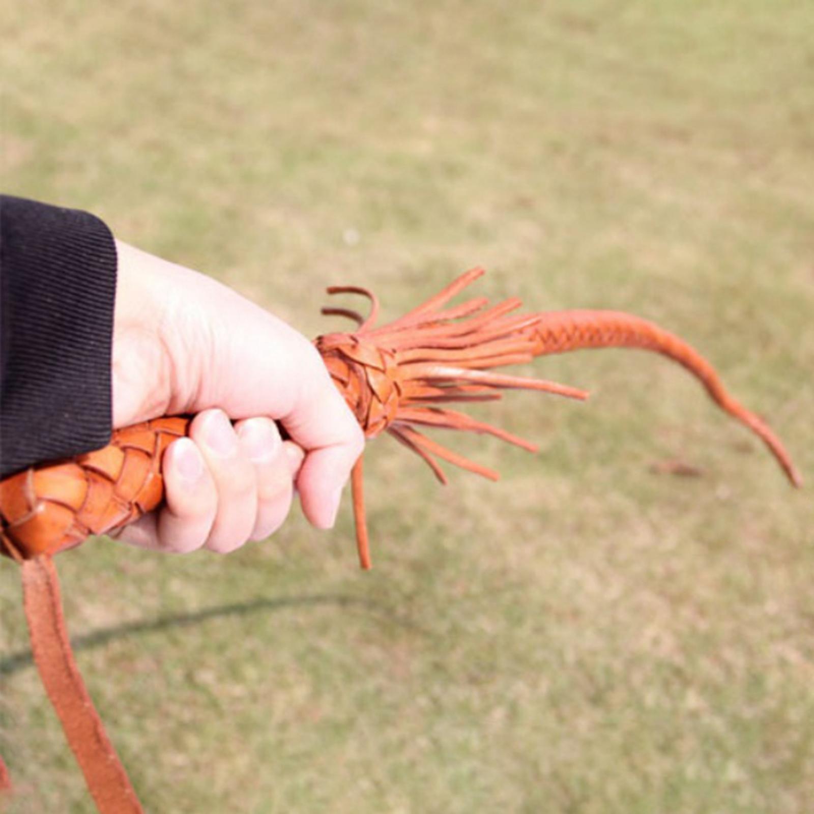 Outdoor PU Leather Horse Ridin - đánh giá và giá Riding Crop Dressage