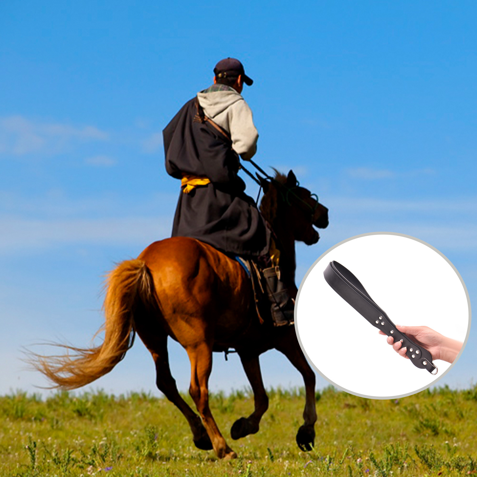 Equestrian Training Whip PU Le - đánh giá và giá Riding Crop Dressage