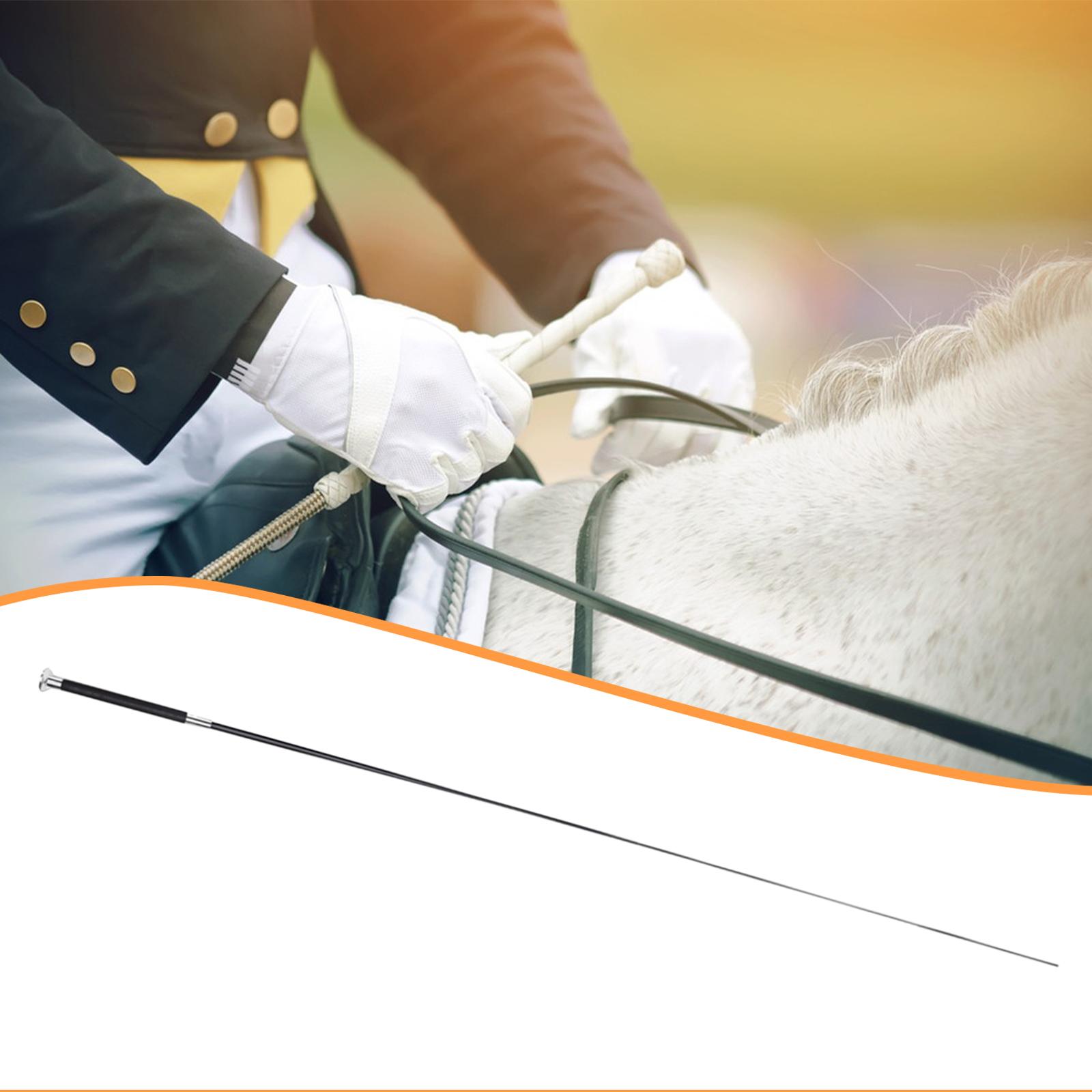 Durable Metal Nylon Adjustable - đánh giá và giá Riding Crop Dressage